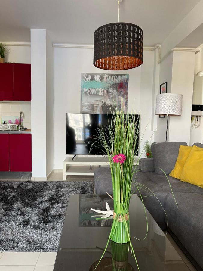 Apartment Happiness By Nicole Jutka, Visual Artist Olimp Dış mekan fotoğraf